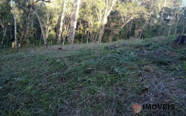 Terreno/Lote em Jardim Cataguases, Campos do Jordão - foto 5