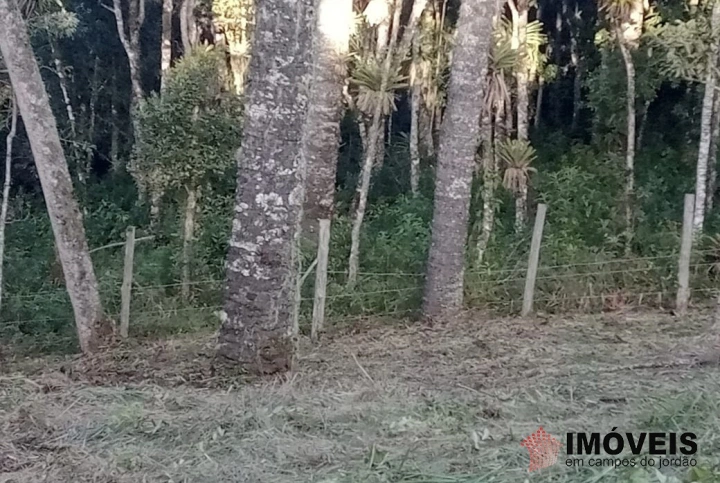 Terreno/Lote em Jardim Cataguases, Campos do Jordão - foto 6