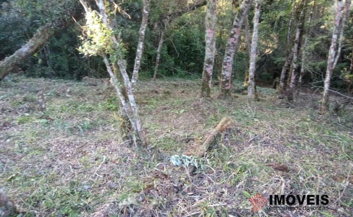Terreno/Lote em Jardim Cataguases, Campos do Jordão - foto 7