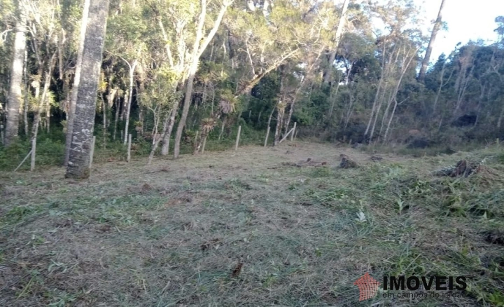 Terreno/Lote em Jardim Cataguases, Campos do Jordão - foto 8