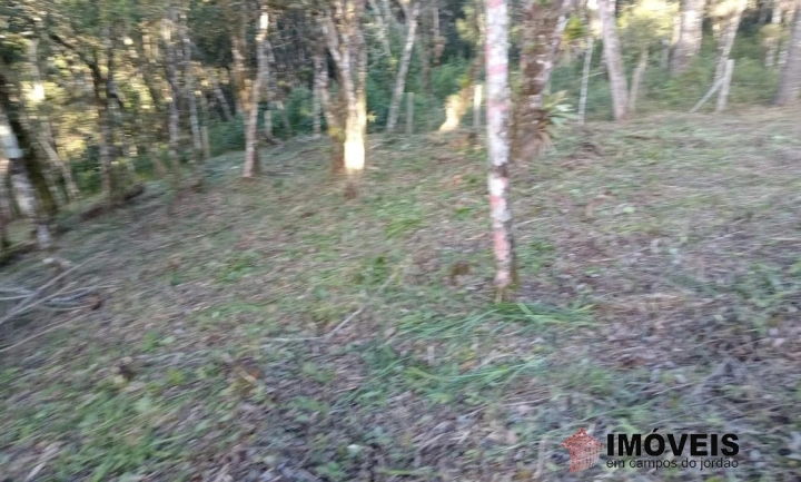 Terreno/Lote em Jardim Cataguases, Campos do Jordão - foto 9