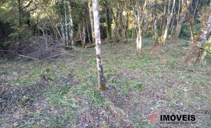 Terreno/Lote em Jardim Cataguases, Campos do Jordão - foto 10