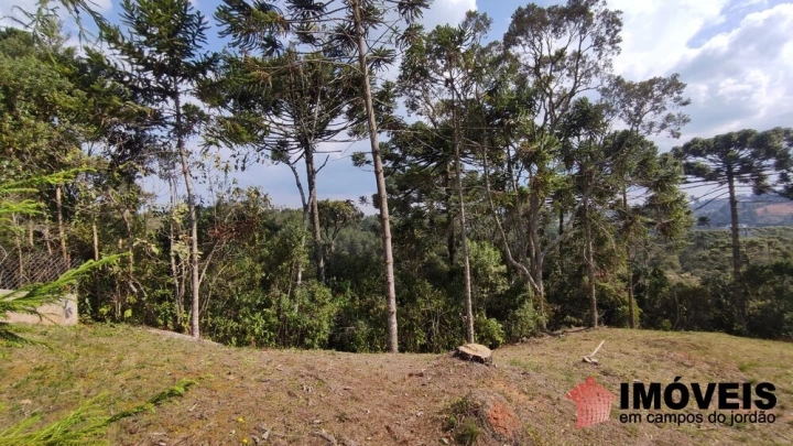 Terreno/Lote em Colinas de Capivari, Campos do Jordão - foto 6