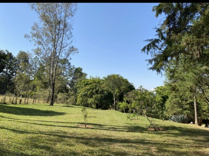 Sítio em Caminho da Mata, Caçapava - foto 8