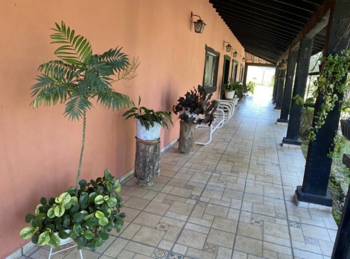 Sítio em Caminho da Mata, Caçapava - foto 21