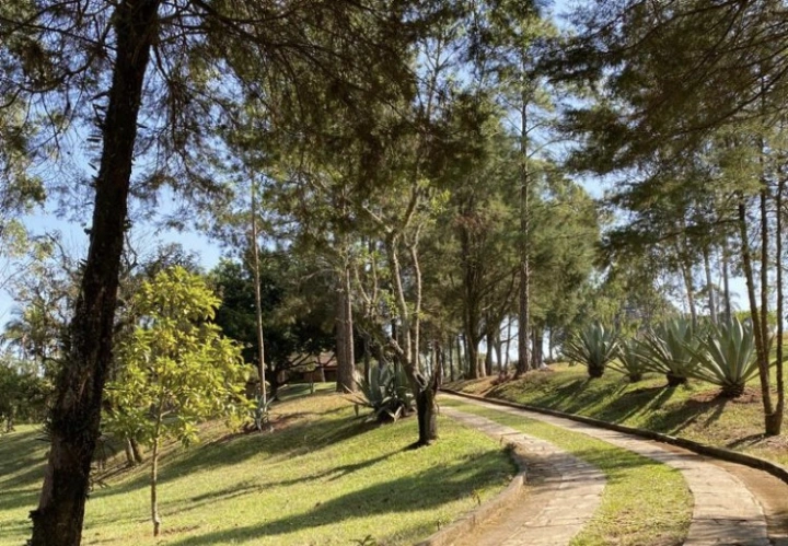 Sítio em Caminho da Mata, Caçapava - foto 36