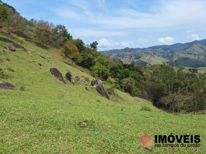 Sítio em Alpes de Campos do Jordão, Campos do Jordão - foto 3