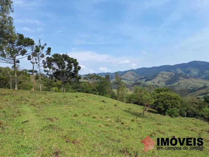 Sítio em Alpes de Campos do Jordão, Campos do Jordão - foto 4