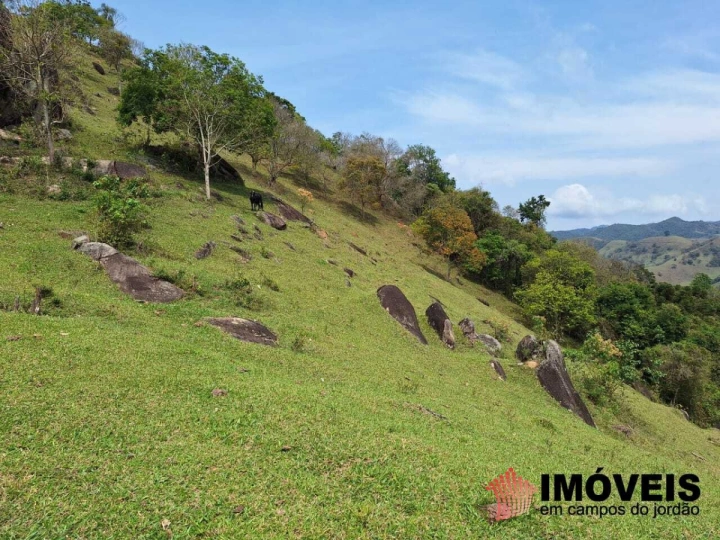Sítio em Alpes de Campos do Jordão, Campos do Jordão - foto 6