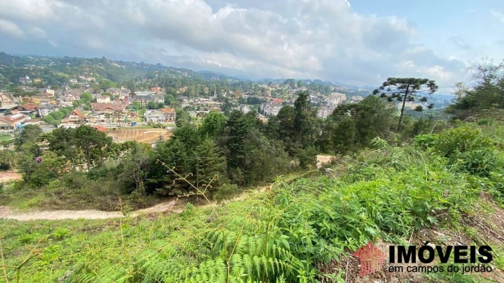 Terreno/Lote em Vila Capivari, Campos do Jordão - foto 7