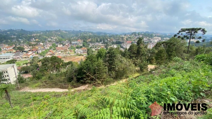 Terreno/Lote em Vila Capivari, Campos do Jordão - foto 22