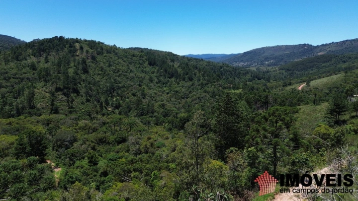 Terreno/Lote em Quebradas, Campos do Jordão - foto 11