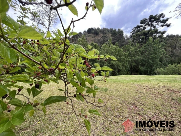 Apartamento em Jaguaribe, Campos do Jordão - foto 4