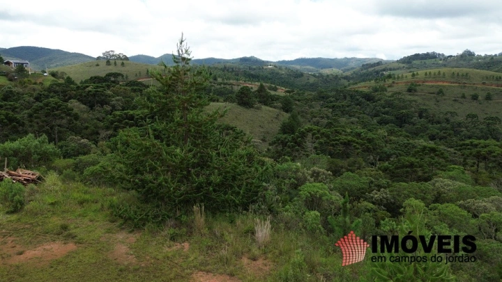 Terreno/Lote em Descansópolis, Campos do Jordão - foto 6