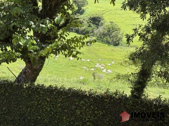 Casa em São Bento do Sapucaí, Campos do Jordão - foto 42