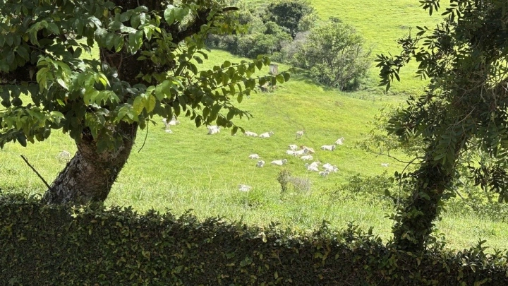 Casa em São Bento do Sapucaí, Campos do Jordão - foto 68
