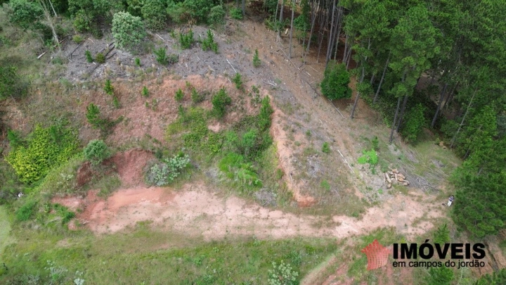 Terreno/Lote em Descansópolis, Campos do Jordão - foto 9