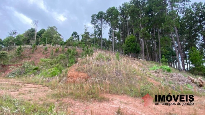 Terreno/Lote em Descansópolis, Campos do Jordão - foto 14