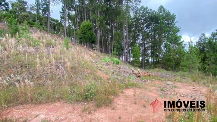 Terreno/Lote em Descansópolis, Campos do Jordão - foto 17