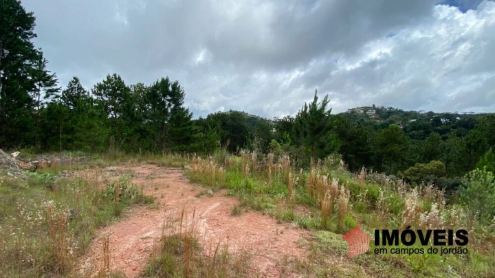 Terreno/Lote em Descansópolis, Campos do Jordão - foto 20