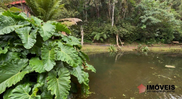 Chácara em Parque Ferradura, Campos do Jordão - foto 48