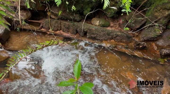 Chácara em Parque Ferradura, Campos do Jordão - foto 53