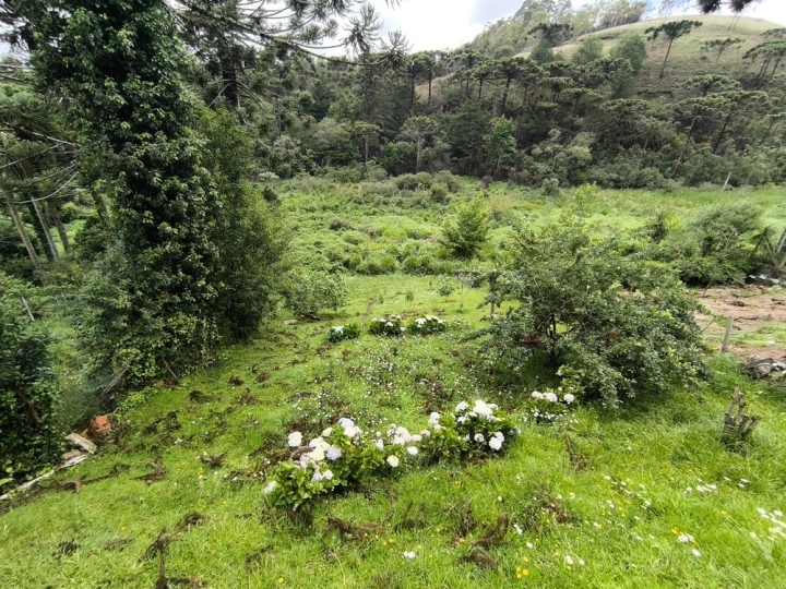 Casa em Vila Matilde, Campos do Jordão - foto 10