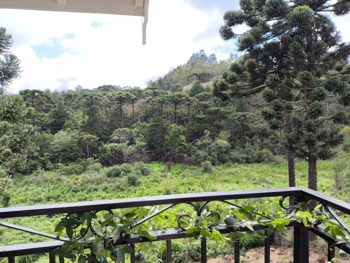 Casa em Vila Matilde, Campos do Jordão - foto 33