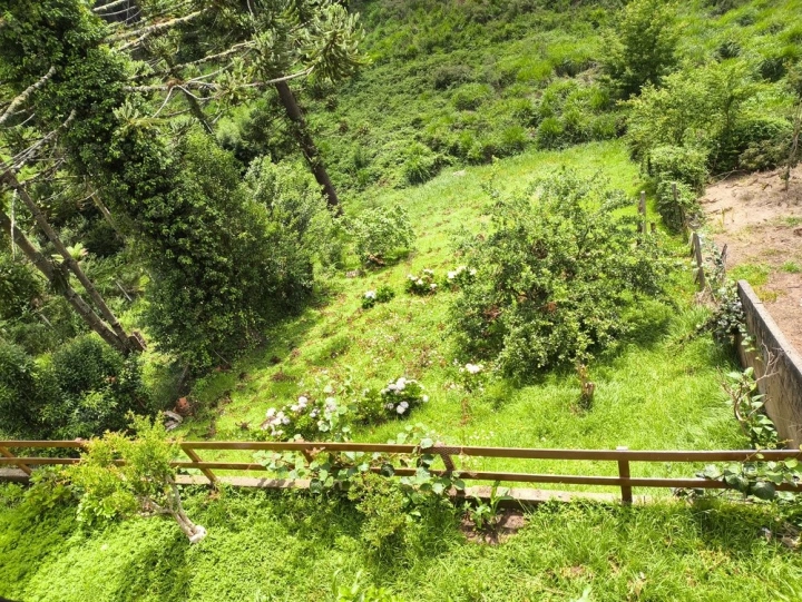 Casa em Vila Matilde, Campos do Jordão - foto 35