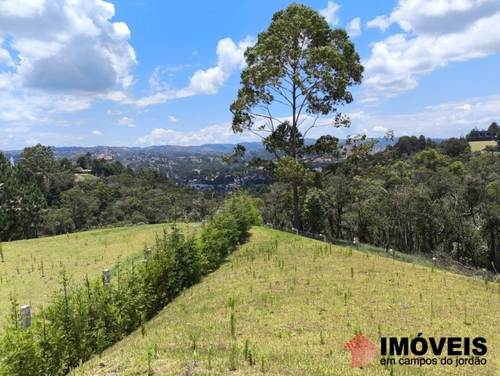 Casa em Morro do Elefante, Campos do Jordão - foto 9