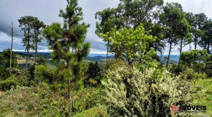 Área para Incorporação em Parque Ferradura, Campos do Jordão - foto 6
