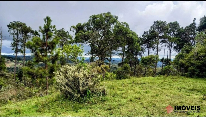 Área para Incorporação em Parque Ferradura, Campos do Jordão - foto 8