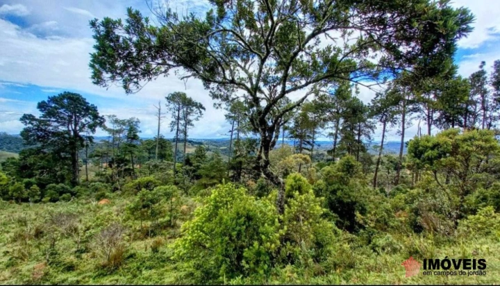 Área para Incorporação em Parque Ferradura, Campos do Jordão - foto 10