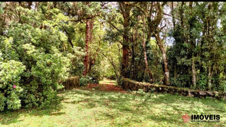 Área para Incorporação em Parque Ferradura, Campos do Jordão - foto 19