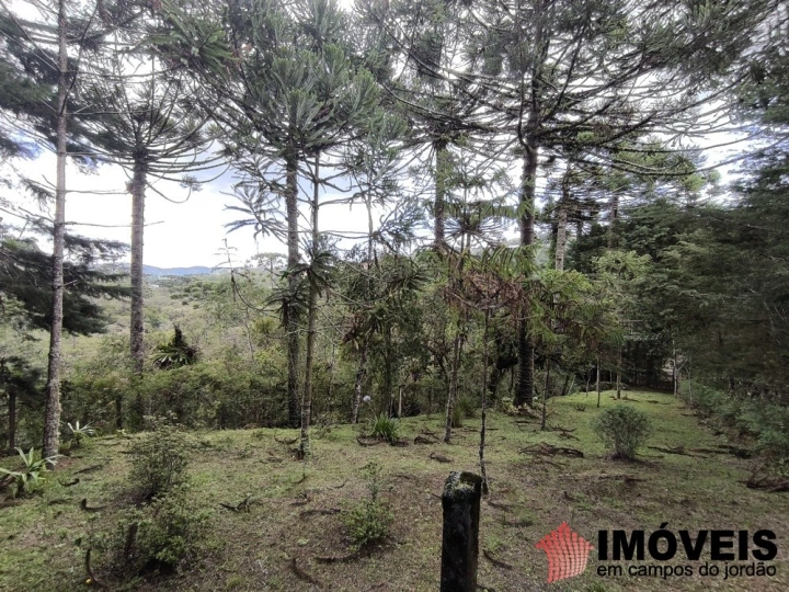 Casa em Vila Médica, Campos do Jordão - foto 45