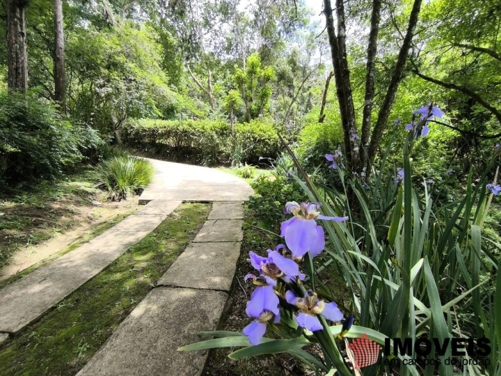 Chácara em Chácaras da Água Santa, Campos do Jordão - foto 7