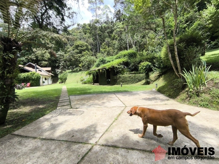Chácara em Chácaras da Água Santa, Campos do Jordão - foto 8
