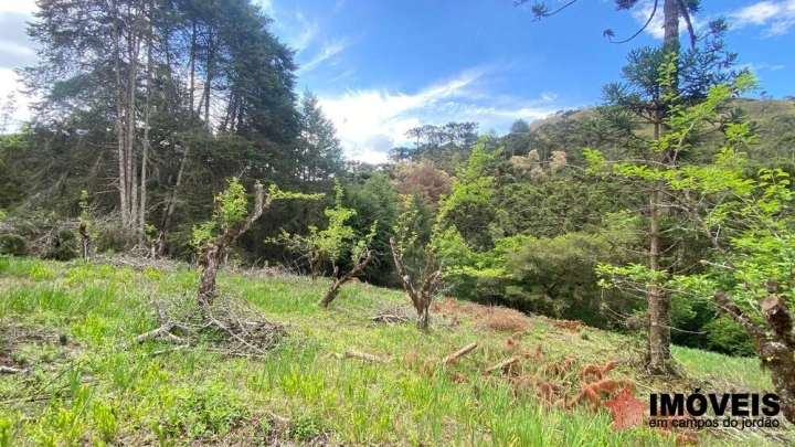 Área para Incorporação em Descansópolis, Campos do Jordão - foto 8