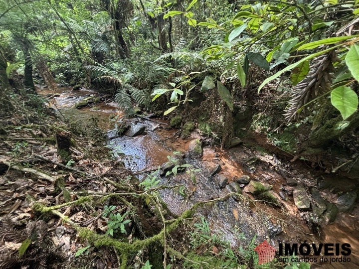 Área para Incorporação em Descansópolis, Campos do Jordão - foto 9