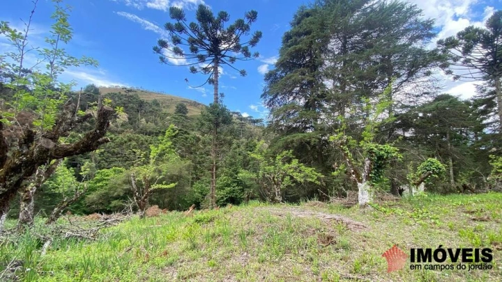 Área para Incorporação em Descansópolis, Campos do Jordão - foto 11