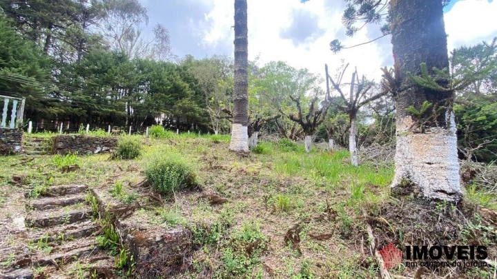 Área para Incorporação em Descansópolis, Campos do Jordão - foto 16