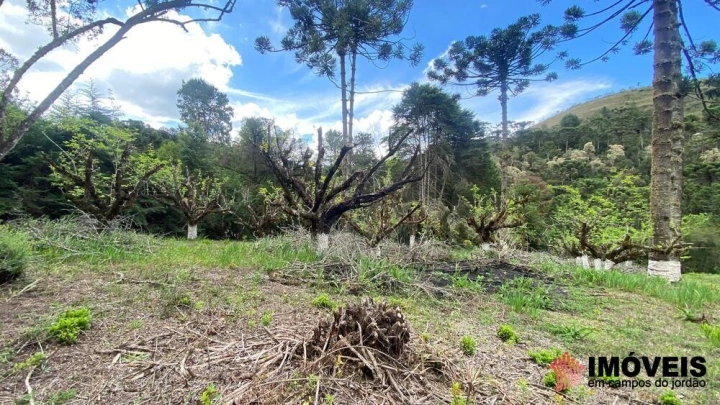 Área para Incorporação em Descansópolis, Campos do Jordão - foto 17