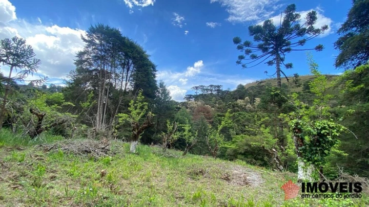 Área para Incorporação em Descansópolis, Campos do Jordão - foto 20