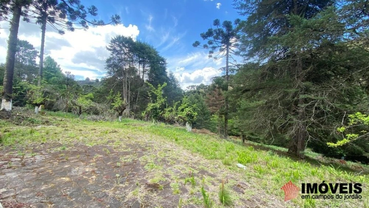 Área para Incorporação em Descansópolis, Campos do Jordão - foto 21