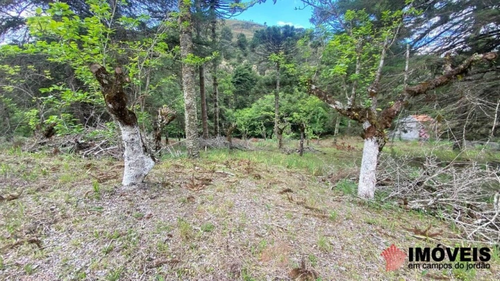 Área para Incorporação em Descansópolis, Campos do Jordão - foto 23