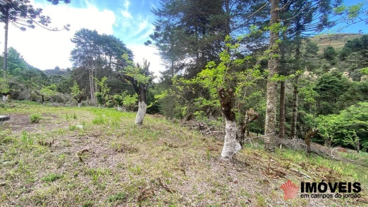 Área para Incorporação em Descansópolis, Campos do Jordão - foto 26