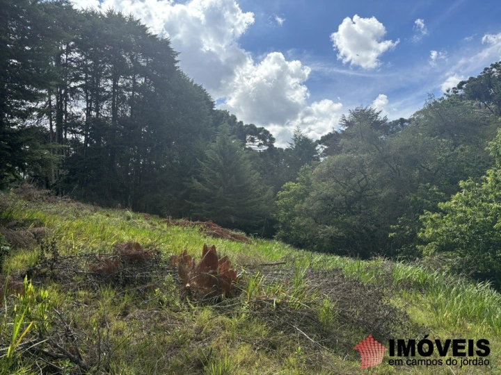 Área para Incorporação em Descansópolis, Campos do Jordão - foto 28
