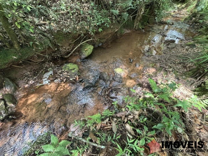 Área para Incorporação em Descansópolis, Campos do Jordão - foto 31