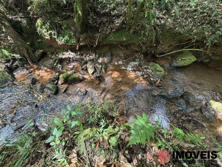 Área para Incorporação em Descansópolis, Campos do Jordão - foto 32