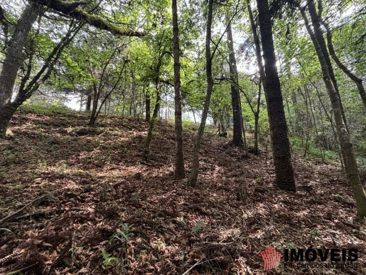 Área para Incorporação em Descansópolis, Campos do Jordão - foto 33
